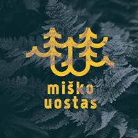 Aikštėje